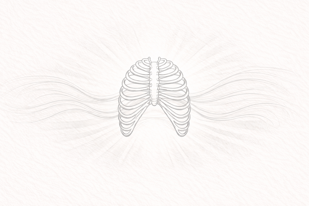 Minimalist line illustration of an abstract ribcage with gentle breath-like curves, symbolising recovery after thoracic surgery and healing.